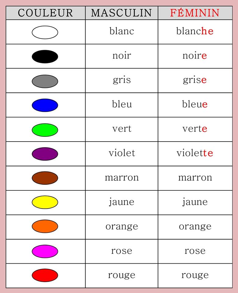 Les Adjectifs De Couleurs Accords